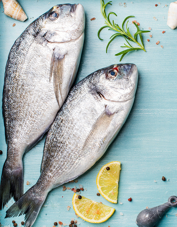 Omega-3 Fettsäuren