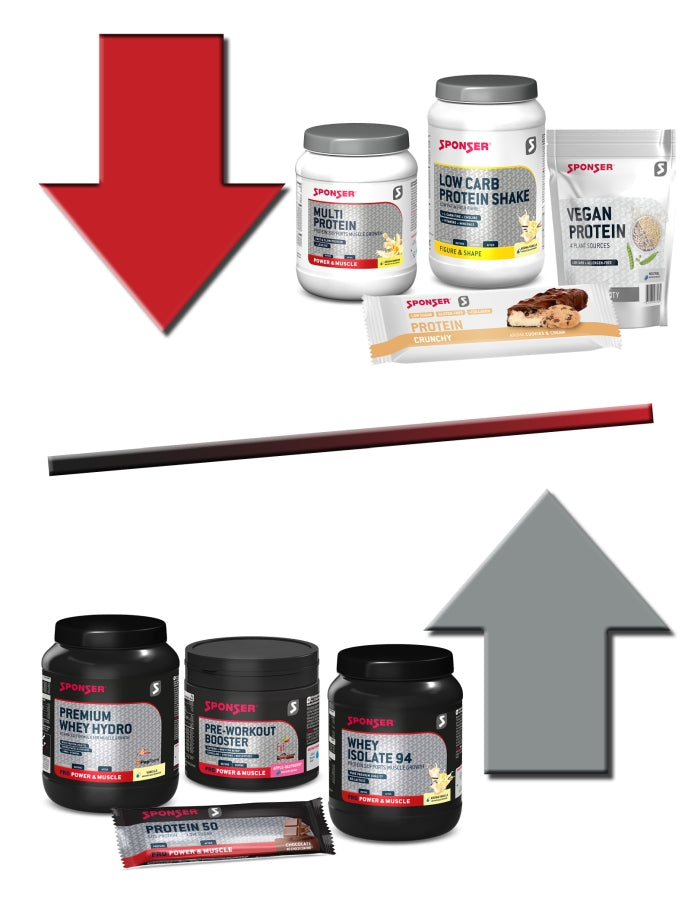 PROTEIN-EMPFEHLUNGEN