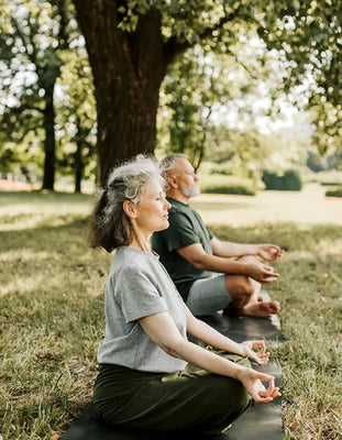 Vegan Nutrition in Old Age