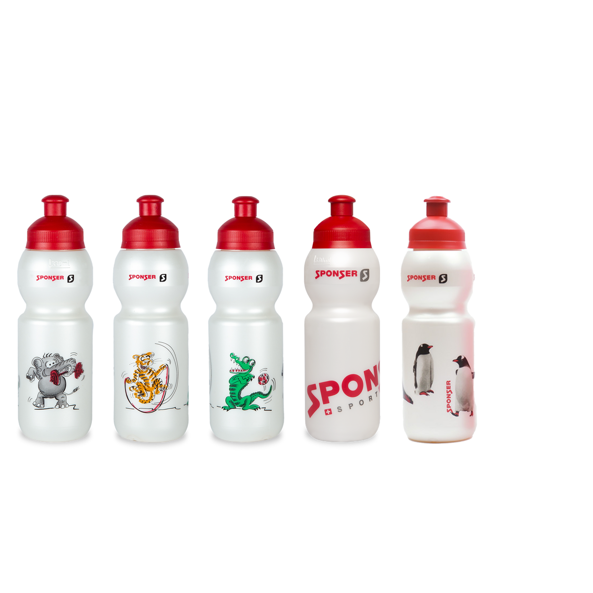 Gourde 330 ml